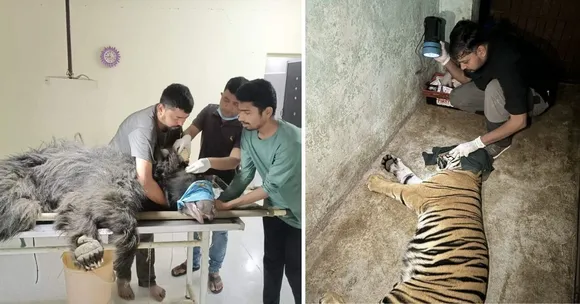 wildlife conservation (3)