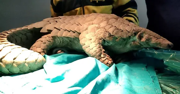 wildlife conservation (4)