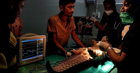 wildlife conservation (5)