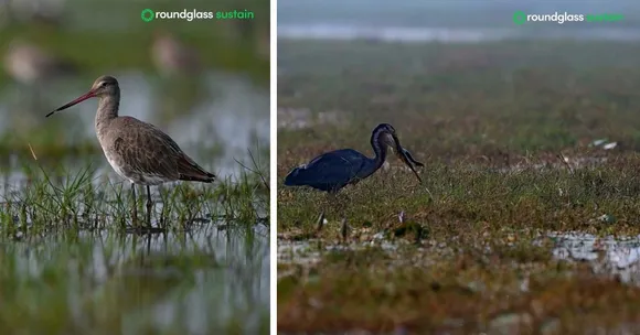 wildlife conservation (1)