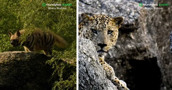 wildlife conservation (5)