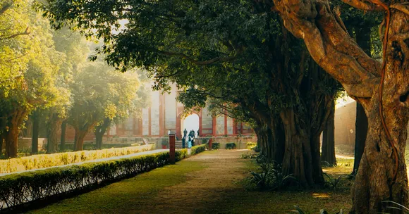 children’s autumn nature projects