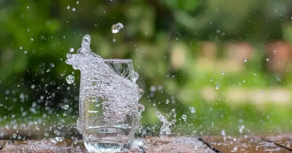 Nature-inspired family traditions