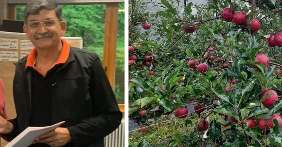 organic apple farming