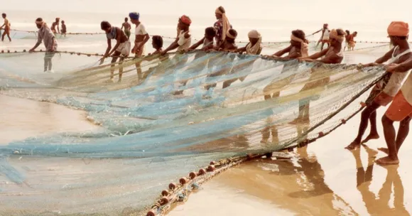 The campaign launched by WTI advocated for the fishing communities to receive financial compensation for any damage caused to their fishing gear, while they attempted to release the whale sharks