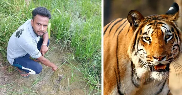 The primary training helps the bagh mitras detect wildlife presence through pugmarks, droppings, rolling and scratches