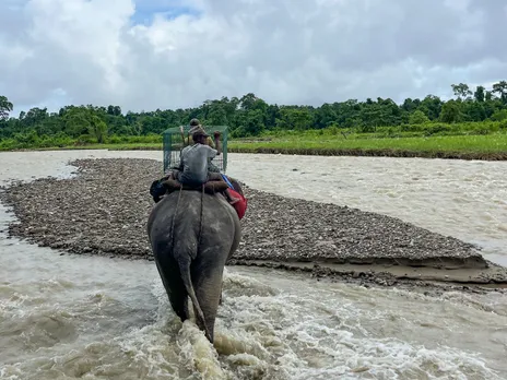 Elephant Vijaya crossing river with empty bear cage.