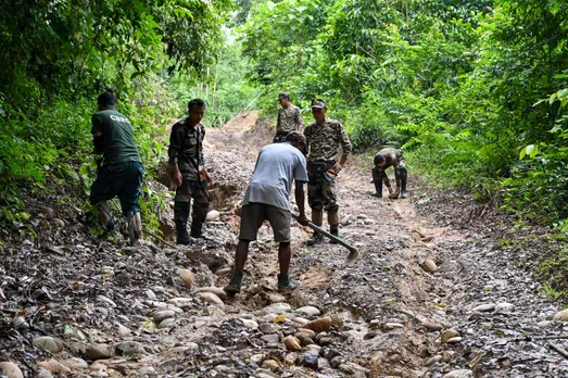 Bear rehabilitation team repairing the road