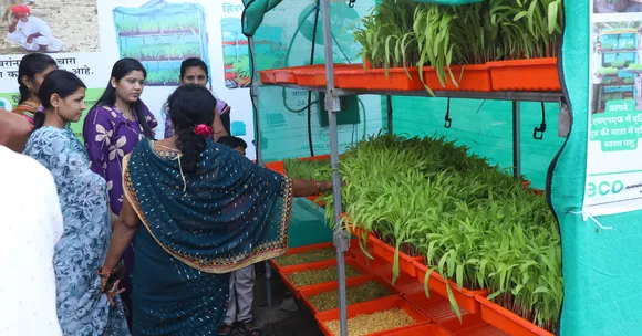 Decentralised Renewable Energy women