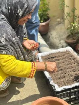 Terrace gardening initiative in New Delhi