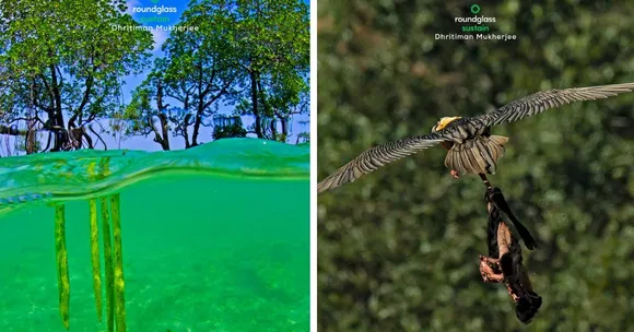 wildlife conservation