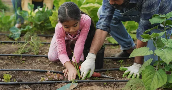 growing winter fruit trees with children