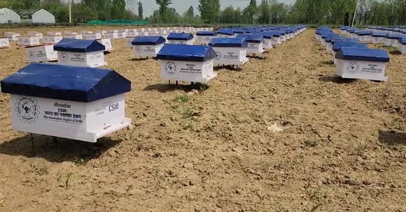 Lavender honey commands premium rates globally, with prices reaching up to Rs 12,000 per kilogram.