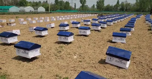 Young farmers trained by CSIR-IIIM combine beekeeping with floriculture to stabilise their incomes.