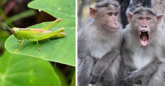 wildlife conservation (1)