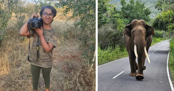 wildlife conservation (2)