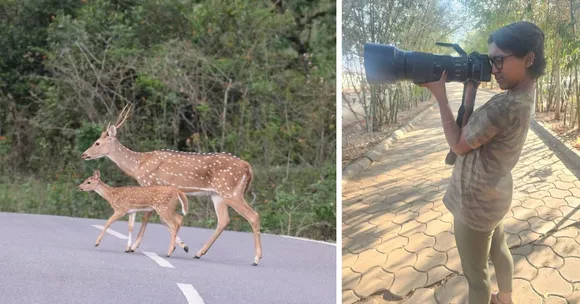Ananya Vishwesh enjoys wildlife photography and spends most of her time taking part in nature trails