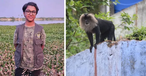 wildlife conservation (3)