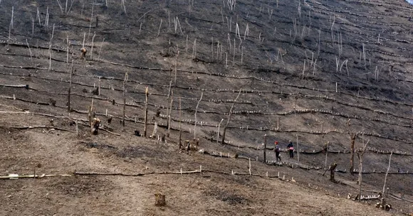 wildlife conservation (2)