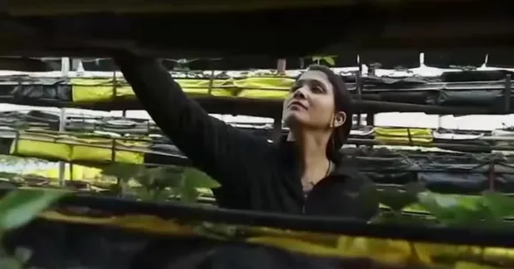 Bharati Boria vertical farming