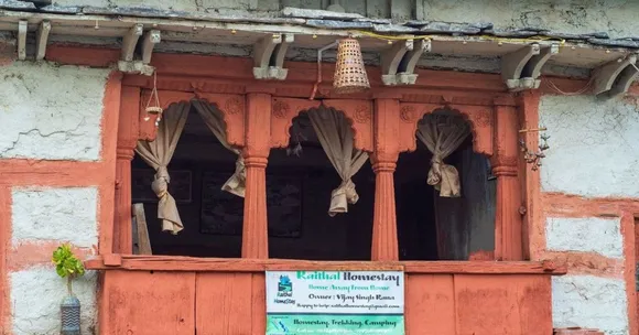 hornbill nest adoption (6)