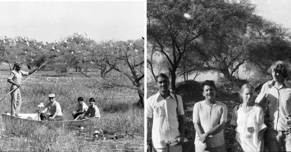 Bharatpur dinesh lal sharma