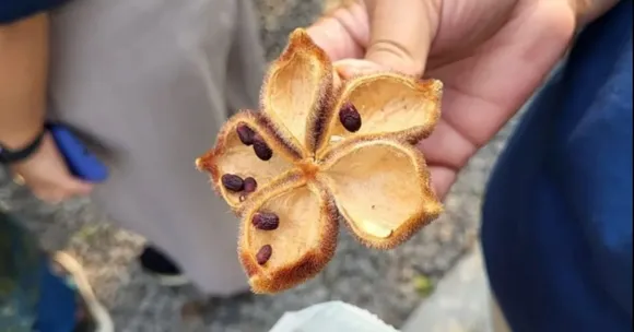 TBI FEATURED IMAGE (93)