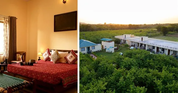 wildlife homestays (1)