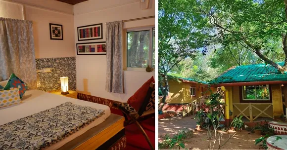 wildlife homestays (1)