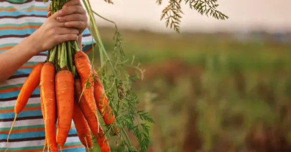 kids winter gardening guide