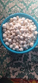 Harvested mushrooms from Asiya's farm