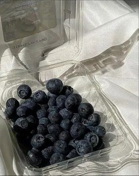 Blueberries in a box, a food that improve memory and concentration