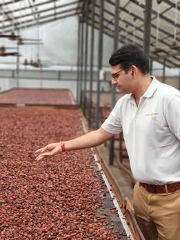 A chocolate taster sifts through the drying cacao beans showing how homegrown chocolate brands are making artisanal chocolate in India using Indian cacao