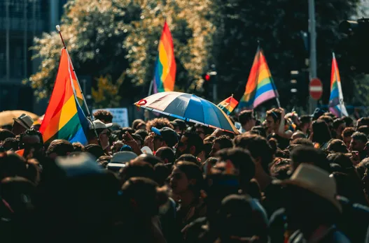 A zoomed out shot of a protest with rainbow coloured flags  to show queer representation in media and LGBTQIA+ safe spaces India.