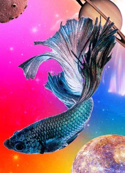 Pisces symbolised by a flowing fish in space, with rainbow skies and planetary elements