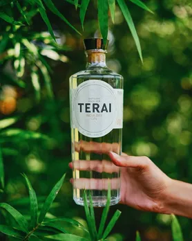 A bottle of Terai gin against a green, lush backdrop to depict how Indian craft gins are gaining popularity due to a growing interest in flavoured Indian gin and Indian botanical gins