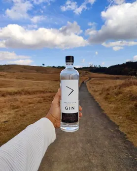 A person holding a bottle of Greater Than Gin to show how Indian craft gins and premium Indian gin are growing popular