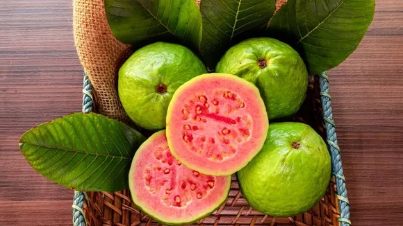 Guava Fruit