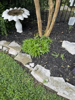 Dangerous snake 2