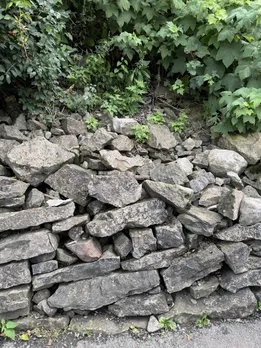 stone snake 2