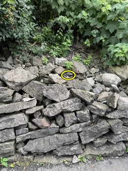 stone snake 3