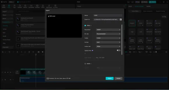 Edit and Finalize for Maximum Impact
