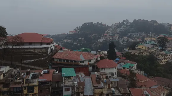 Copy of Local Samosa FI