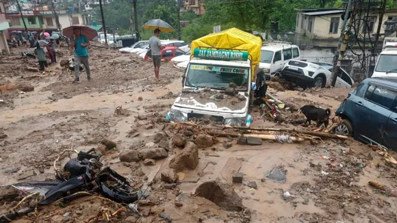 Copy of Local Samosa FI