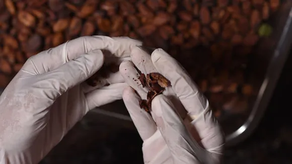 Copy of Local Samosa FI - 8