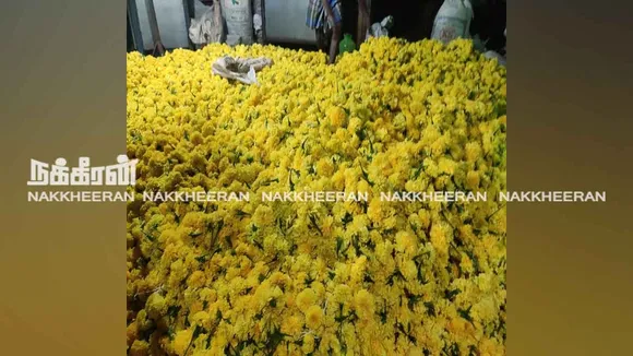 pdu-flower-2