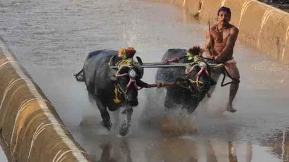 KAMBALA_GREEN_SIGNAL
