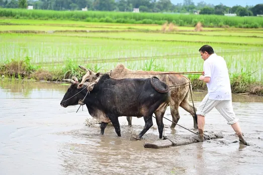 WhatsApp Image 2025-07-05 at 10.48.40 AM