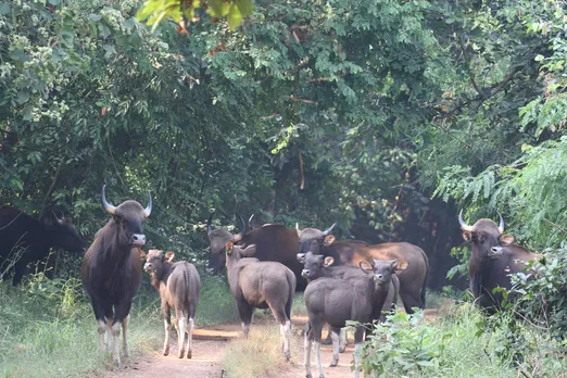 WhatsApp Image 2025-10-29 at 3.23.56 PM