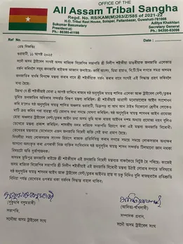 WhatsApp Image 2025-08-11